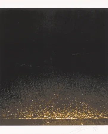 Sérigraphie Tuymans - Shore