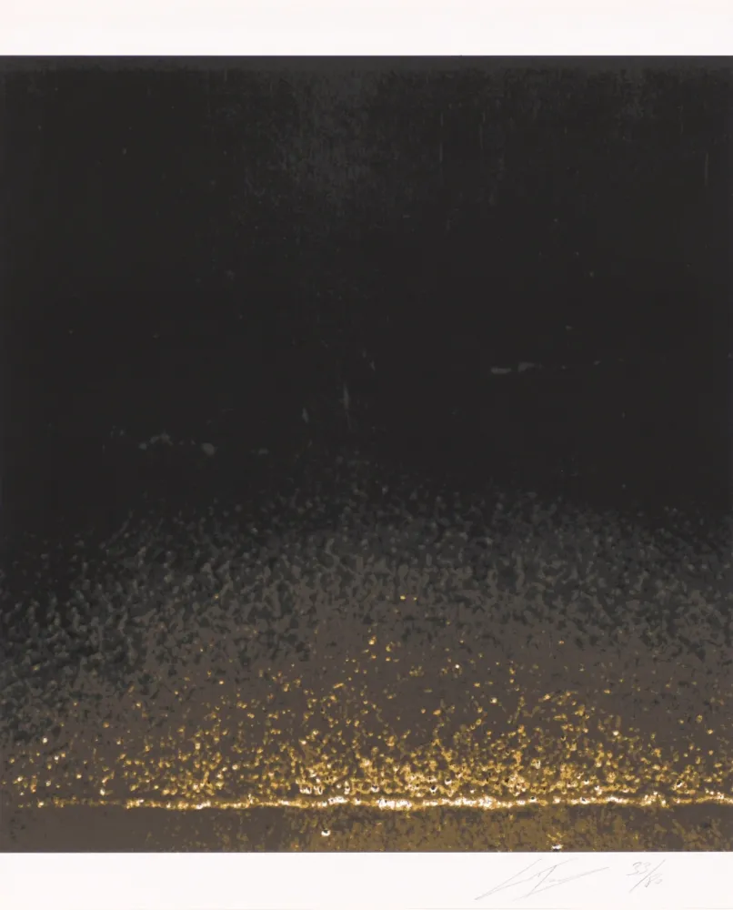 Sérigraphie Tuymans - Shore