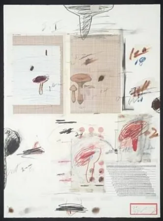 Lithographie Twombly - Natural History Part I: Mushrooms IV