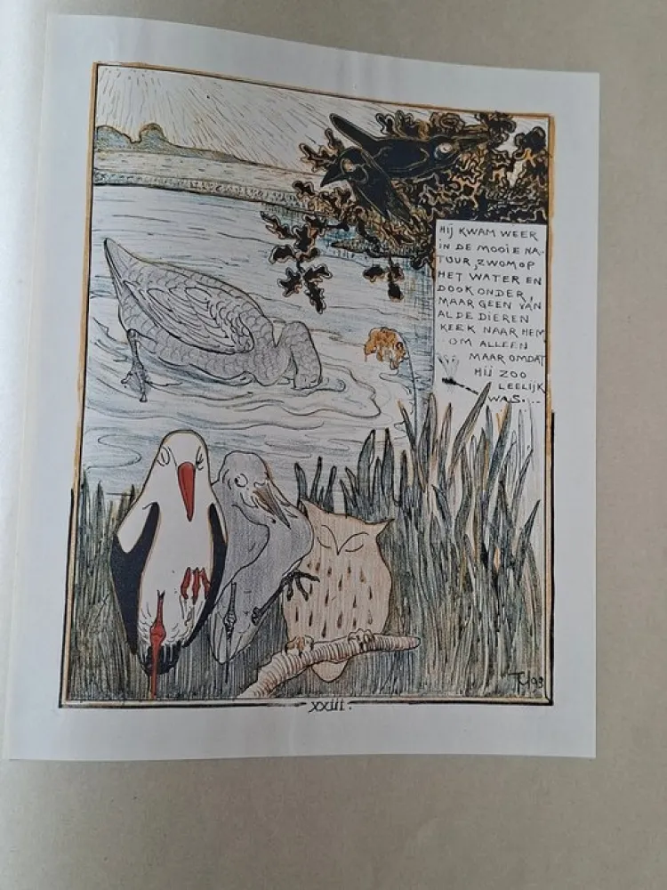 Livre Illustré Van Hoytema - Het leelijke jonge Eendje