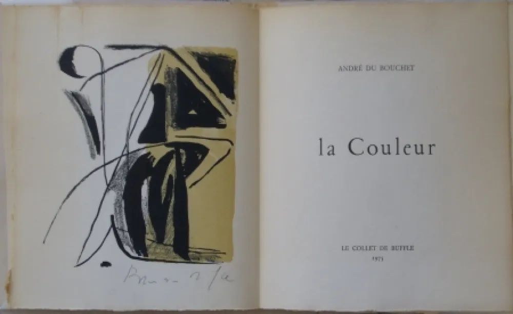 Lithographie Van Velde - La couleur