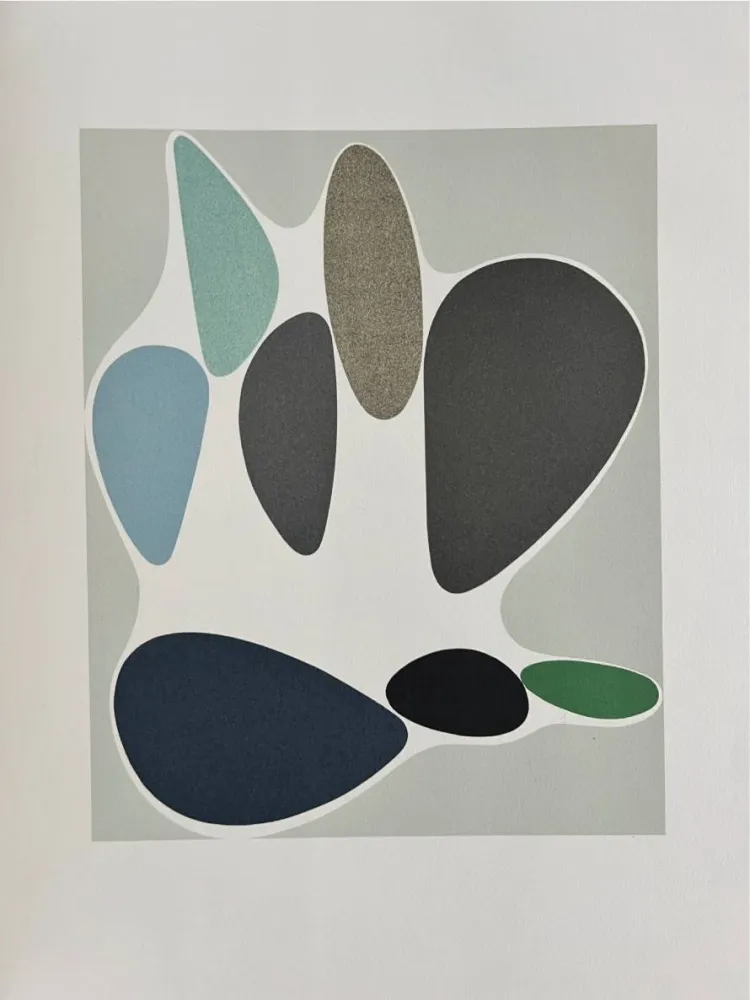 Lithographie Vasarely - Sauzon