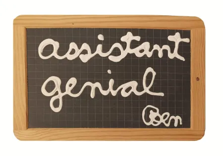 Aucune Technique Vautier - '' assistant génial ''