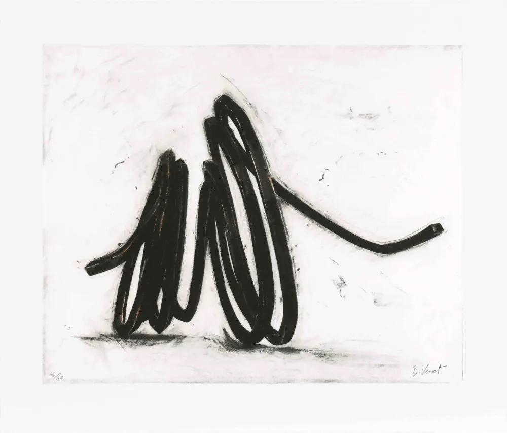 Eau-Forte Venet - Indeterminate line I