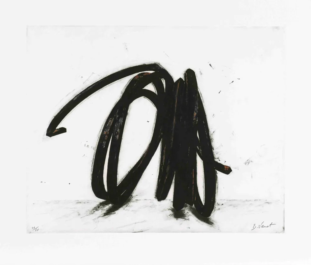 Eau-Forte Venet - Indeterminate Line II