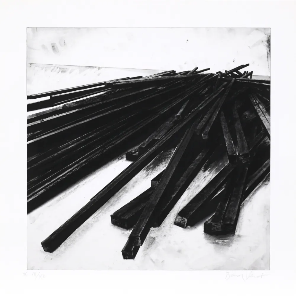 Sérigraphie Venet - Lignes droites / désordre 05