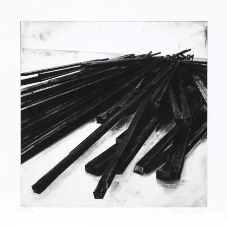 Sérigraphie Venet - Lignes droites / désordre 05