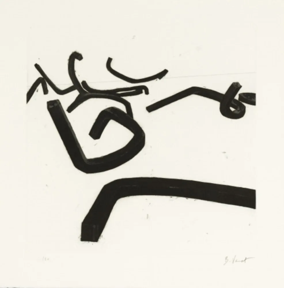 Eau-Forte Et Aquatinte Venet - Random Combination of Indeterminate Lines II, c