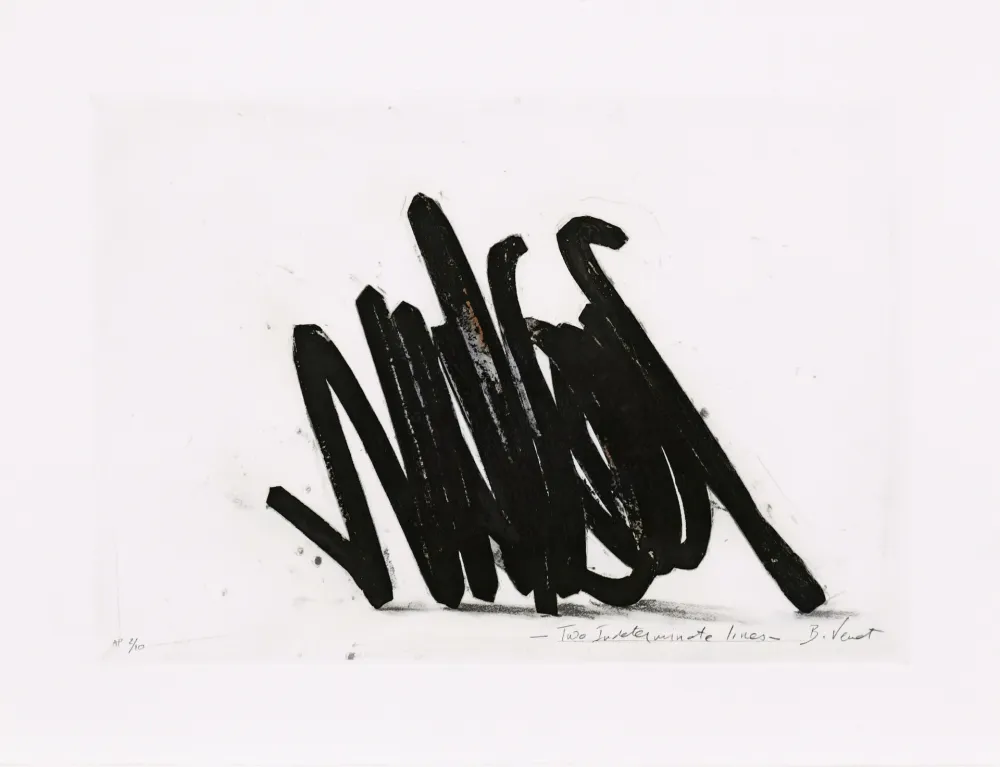 Eau-Forte Venet - Two indeterminate lines 02