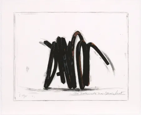 Sérigraphie Venet - Two indeterminate lines