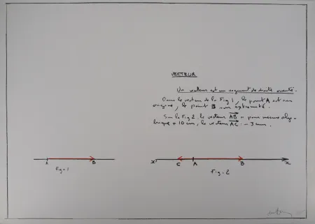 Sérigraphie Venet - Un Vecteur