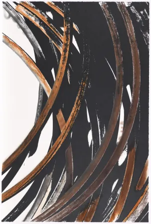 Sérigraphie Venet - Untitled V bis (Arcs)