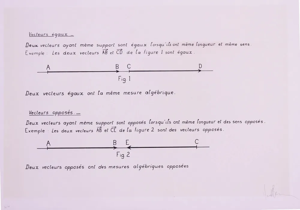 Lithographie Venet - VECTEURS