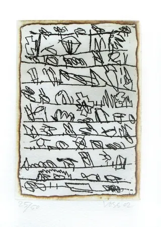 Livre Illustré Voss - La dispersion