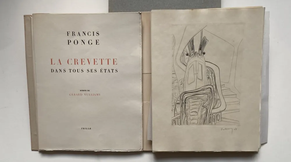 Livre Illustré Vulliamy - LA CREVETTE DANS TOUS SES ETATS