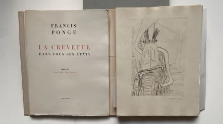 Livre Illustré Vulliamy - LA CREVETTE DANS TOUS SES ETATS