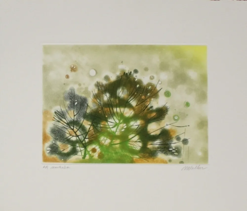 Eau-Forte Et Aquatinte Walker - Marhoha