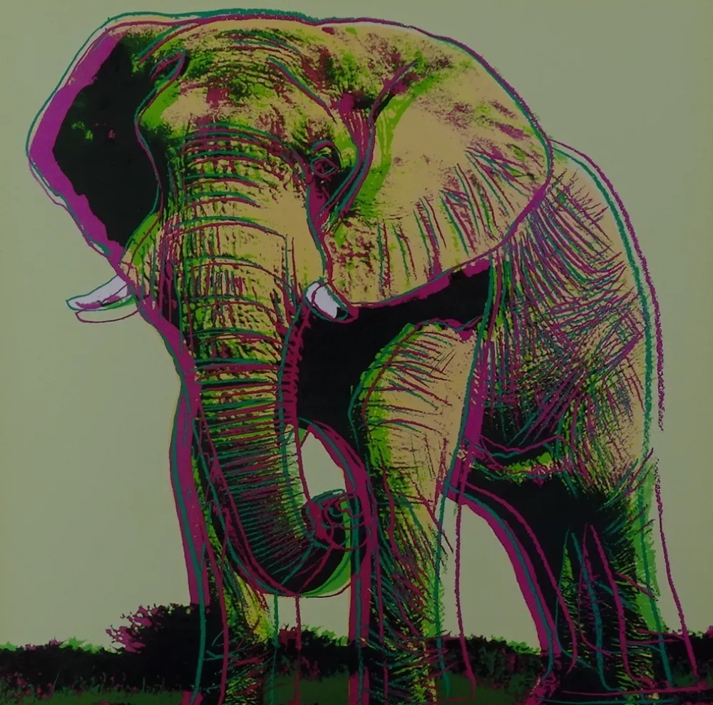 Sérigraphie Warhol - African Elephant