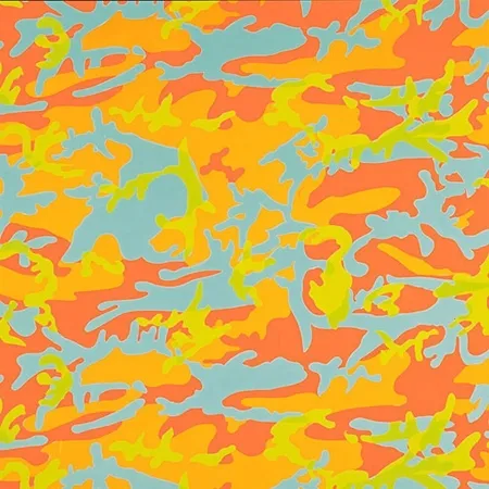 Sérigraphie Warhol - Camouflage 413 by Andy Warhol