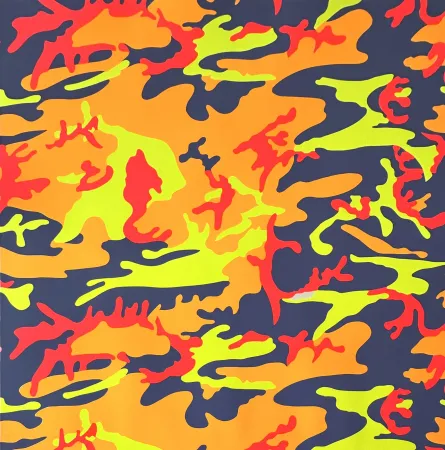 Sérigraphie Warhol - Camouflage (FS II.412)