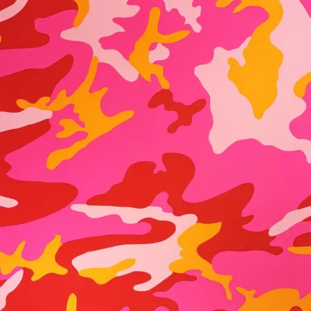 Sérigraphie Warhol - Camouflage, II.408