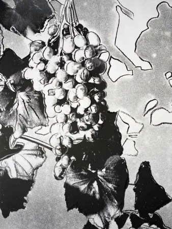 Sérigraphie Warhol - Grapes