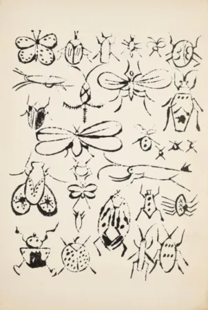 Lithographie Warhol - Happy Bug Day