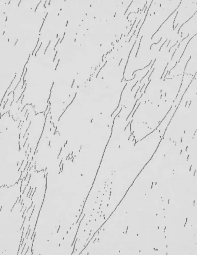 Multiple Warhol - Mao (Unique)