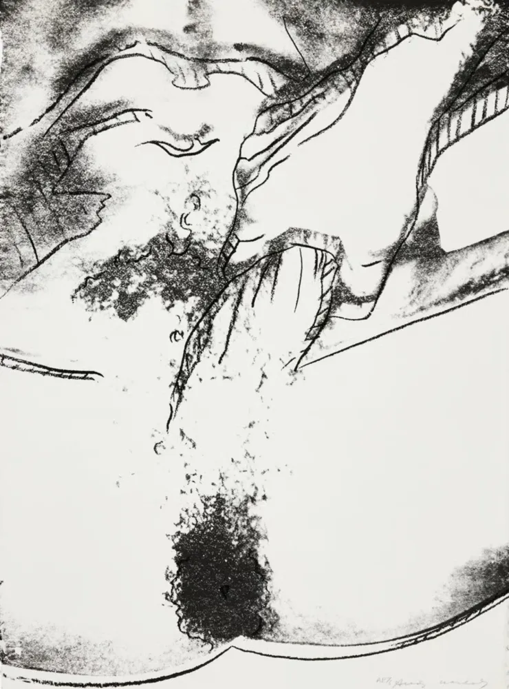 Sérigraphie Warhol - Sex Parts II.177