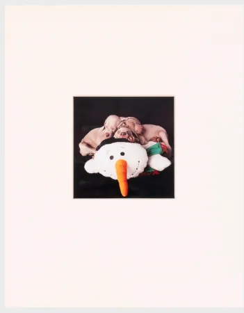 Photographie Wegman - Three for One