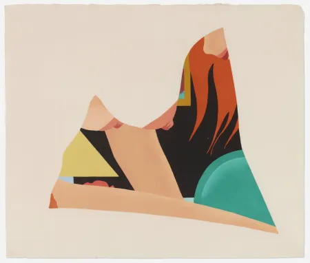 Gravure Sur Bois Wesselmann - Bedroom Dropout