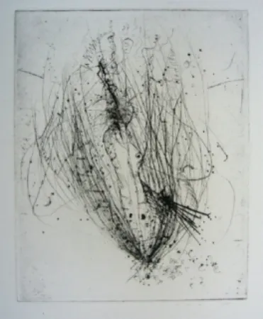 Gravure Wols - Akblute