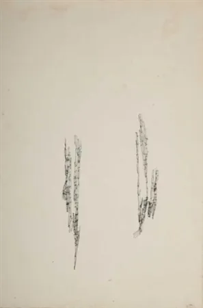 Aucune Technique Wols - Commencement d'un dessin