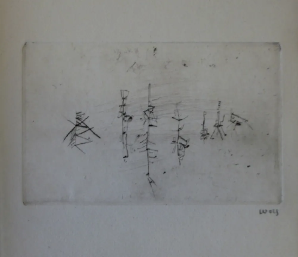 Livre Illustré Wols - L'invité des morts