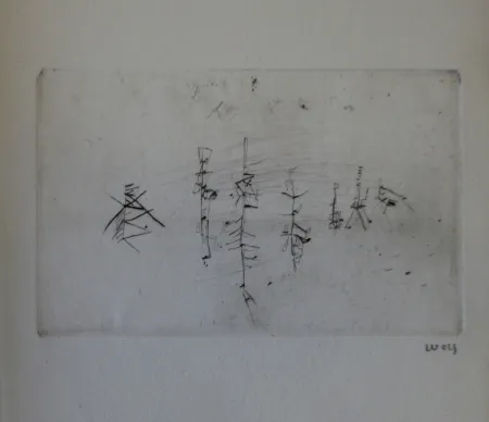 Livre Illustré Wols - L'invité des morts