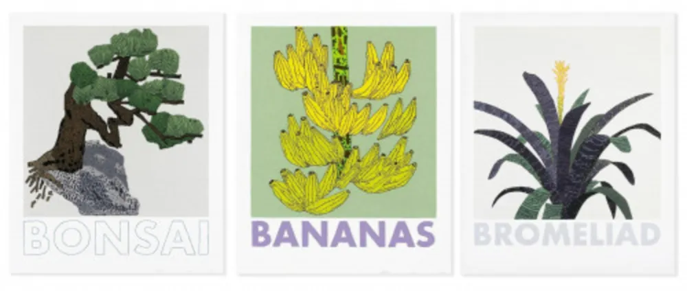 Sérigraphie Wood - Bonsai, Banana and Bromelaid