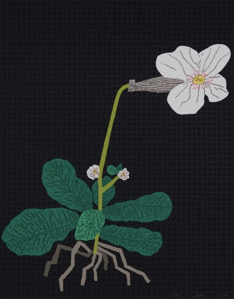 Sérigraphie Wood - White Flower with Grid
