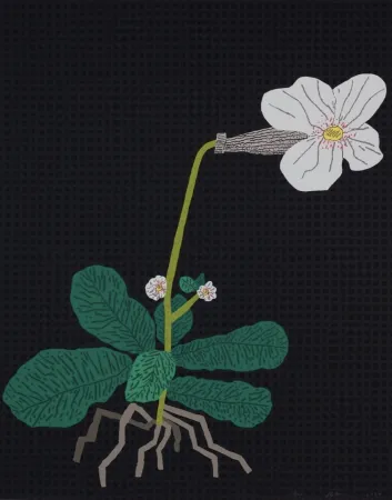 Sérigraphie Wood - White Flower with Grid