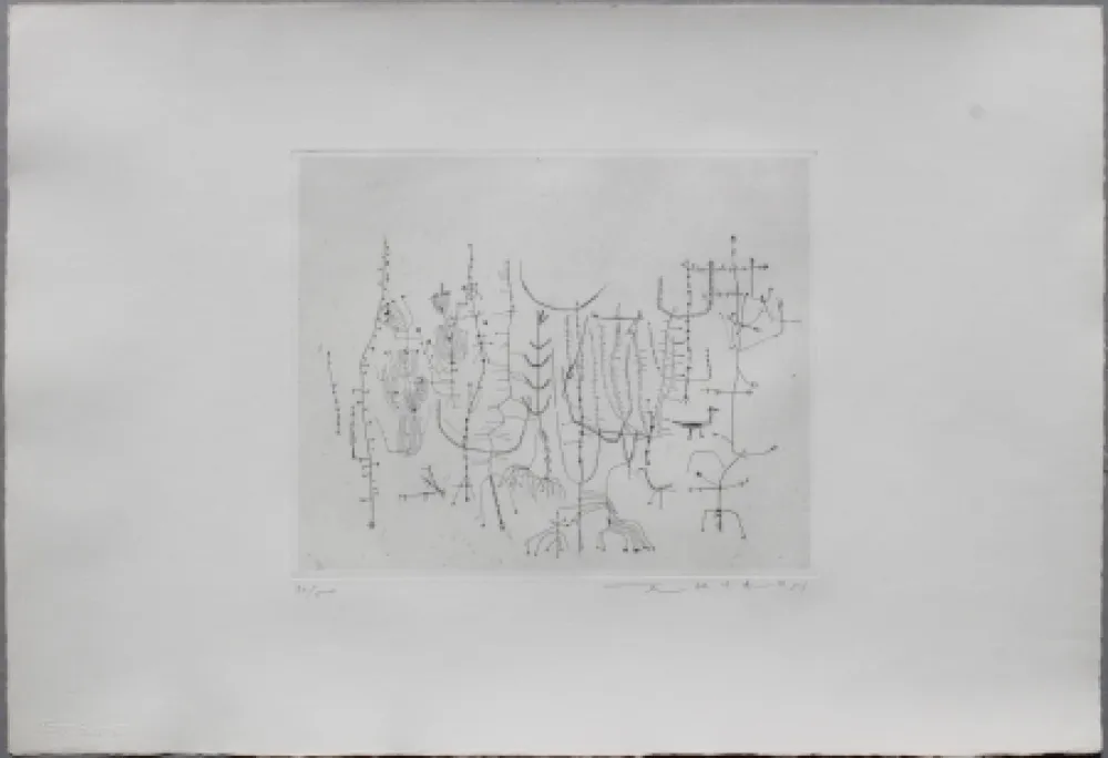 Pointe-Sèche Zao - Arbrisseaux (Shrub)