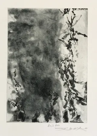 Eau-Forte Et Aquatinte Zao - Proustiennes (348)