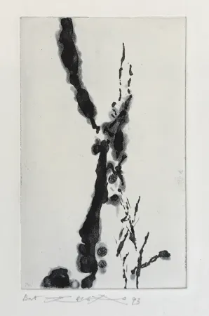 Eau-Forte Et Aquatinte Zao - Rompre le cri (374)