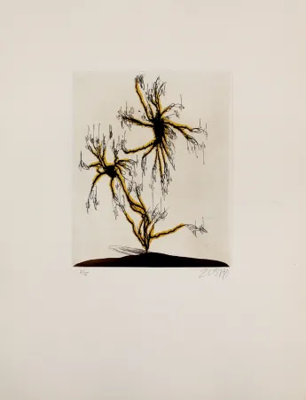 Eau-Forte Et Aquatinte Zush - Anzuras