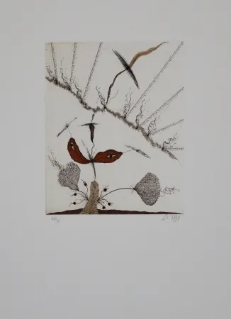 Eau-Forte Et Aquatinte Zush - Moplant